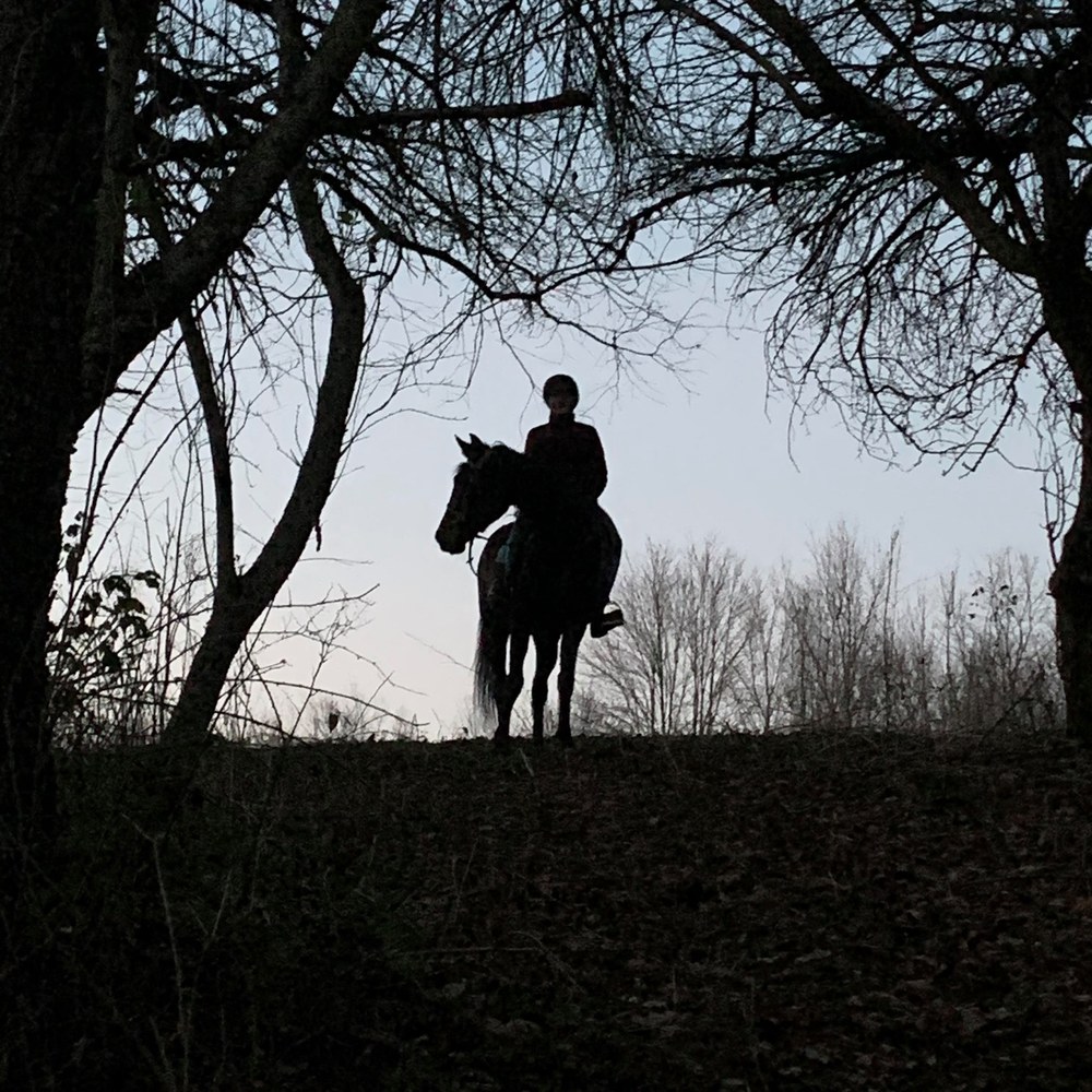 Meet your Posher, Brandy